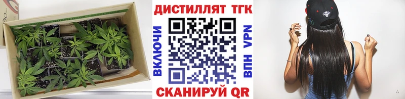 наркота  Лодейное Поле  ТГК THC oil 