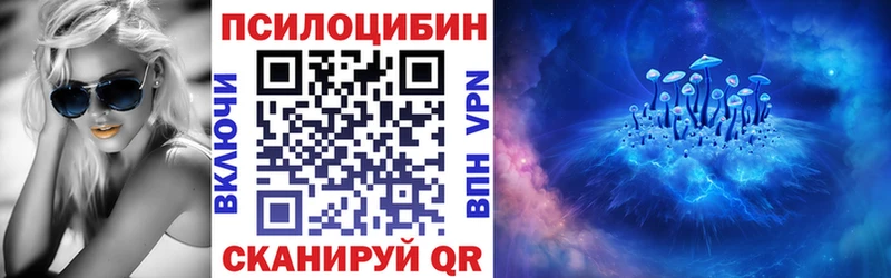 Псилоцибиновые грибы Psilocybe  Лодейное Поле 